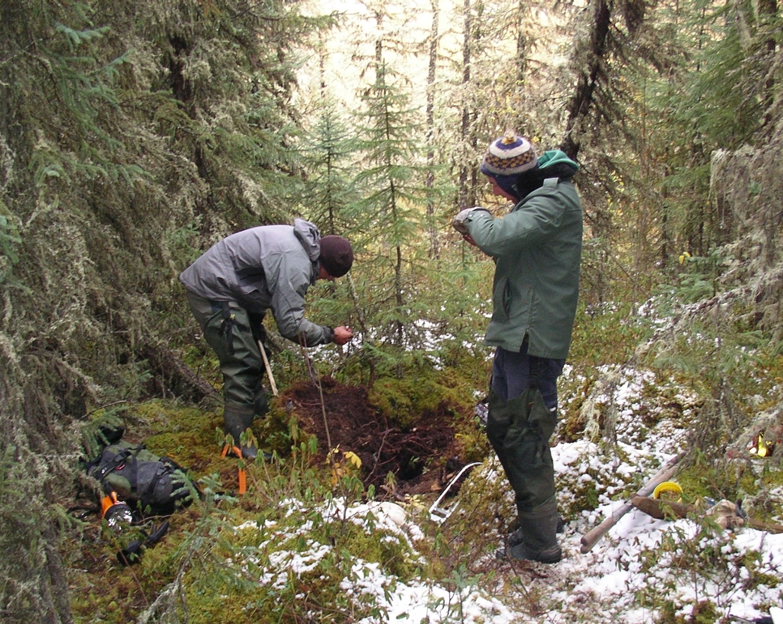 Dru and Steve at a peat hummock hibernacula for toad ER at the boreal area